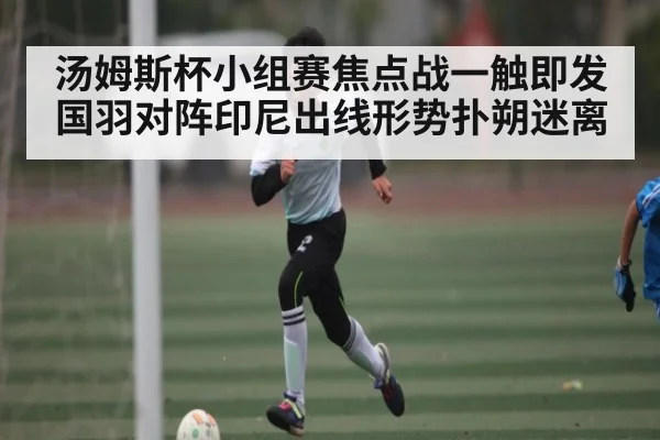 汤姆斯杯小组赛焦点战一触即发 国羽对阵印尼出线形势扑朔迷离