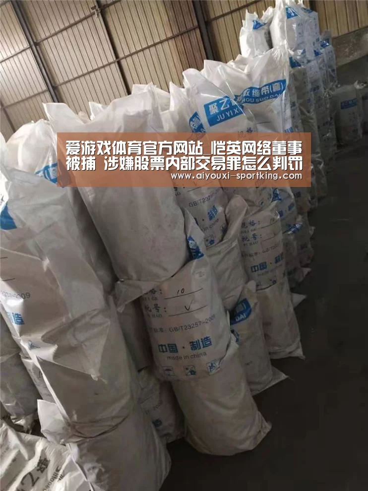 爱游戏体育官方网站_恺英网络董事被捕 涉嫌股票内部交易罪怎么判罚?(图1) 爱游戏体育官方网站