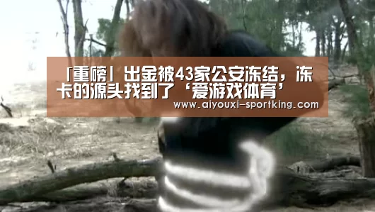 爱游戏体育官方网站