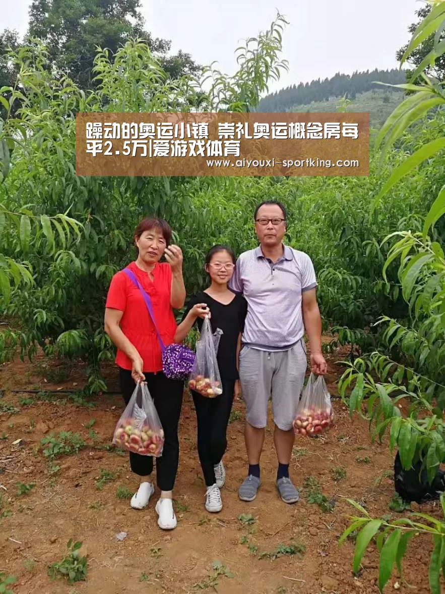 躁动的奥运小镇 崇礼奥运概念房每平2.5万|爱游戏体育(图2) 爱游戏官网