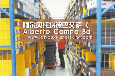 爱游戏官方入口