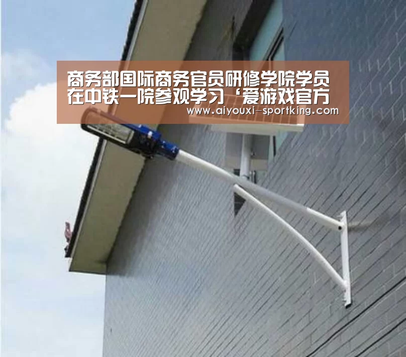 爱游戏体育